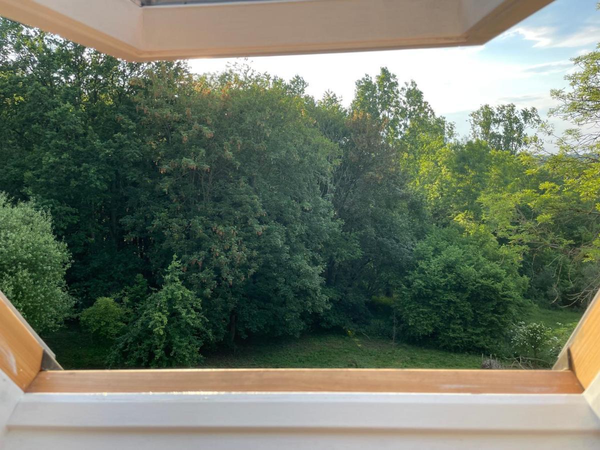 La Canopee Des Arbres, Juliette Ellezelles المظهر الخارجي الصورة