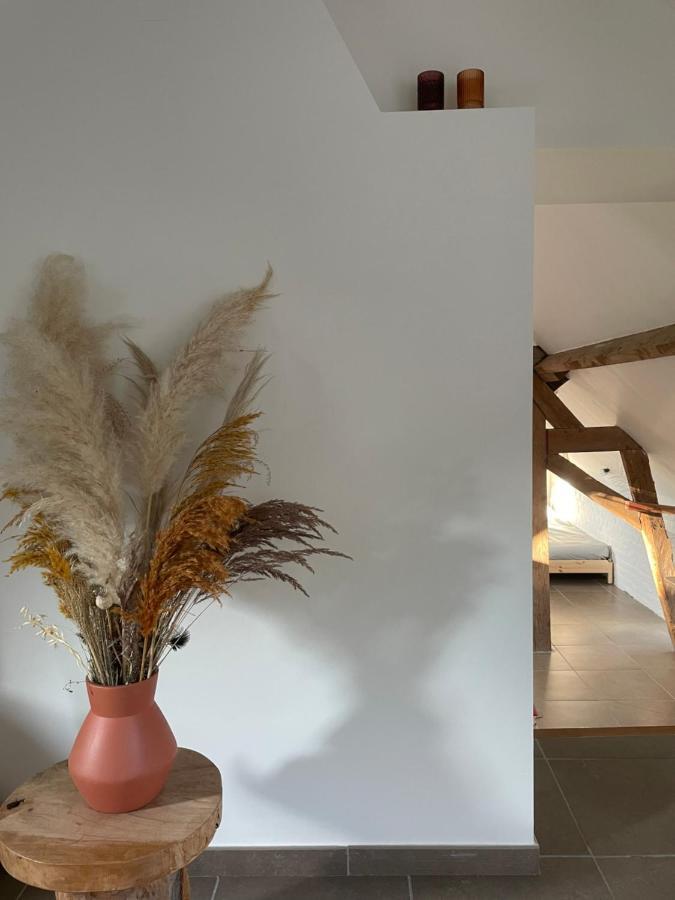 La Canopee Des Arbres, Juliette Ellezelles المظهر الخارجي الصورة